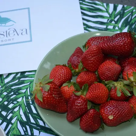 Frasteva Holiday home *
